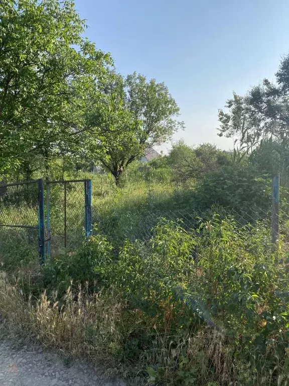 Участок в Ростовская область, Азовский район, с. Самарское Садовый ... - Фото 1