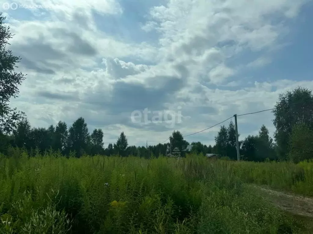 Участок в Нижегородская область, Городецкий муниципальный округ, ... - Фото 1