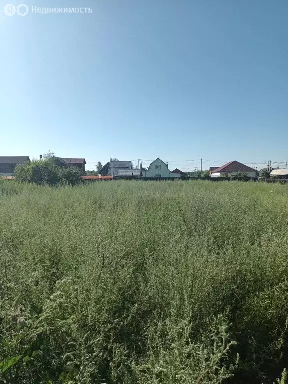 Участок в Баклашинское муниципальное образование, село Введенщина, ... - Фото 1