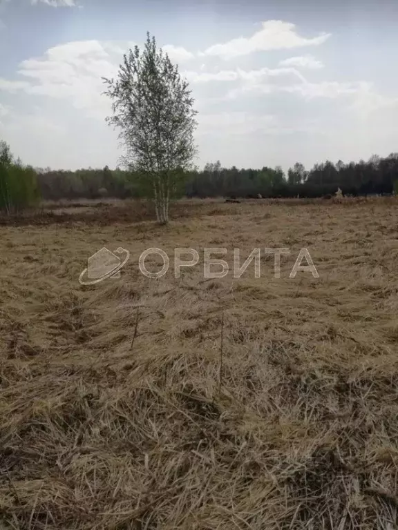 Участок в Тюменская область, Нижнетавдинский район, Душевное садовое ... - Фото 1