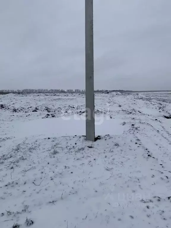 Участок в Белгородская область, Белгородский район, Головинское с/пос, ... - Фото 0