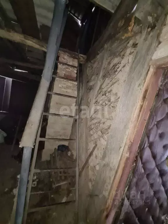 Дом в Воронежская область, Верхнехавский район, Плясоватское с/пос, с. ... - Фото 1