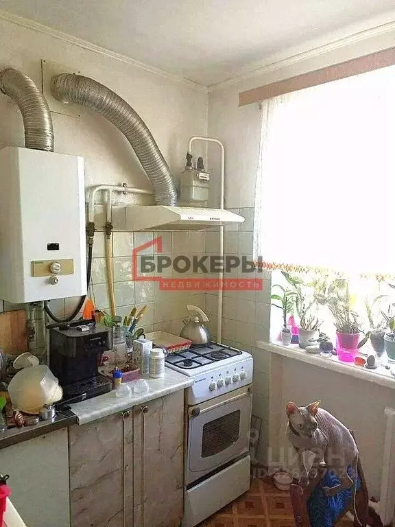 2-к кв. Севастополь просп. Генерала Острякова, 7 (43.4 м) - Фото 2