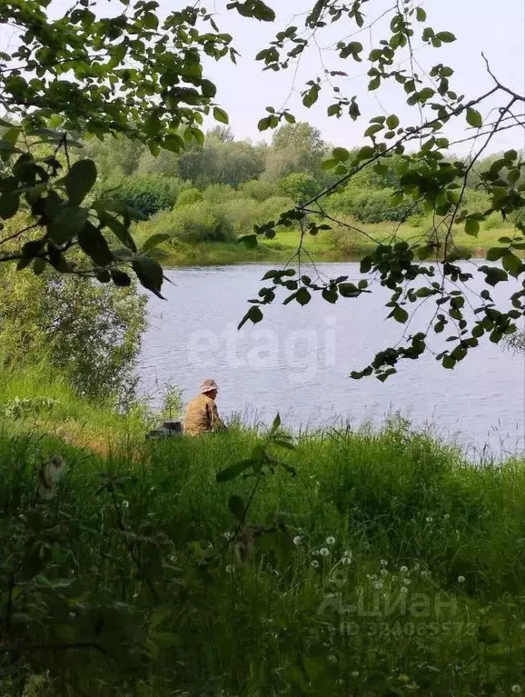 Участок в Пермский край, Пермь Ласьва-1 СНТ,  (17.0 сот.) - Фото 1
