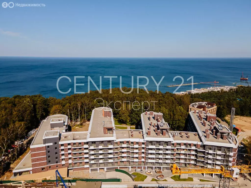 1-комнатная квартира: Светлогорск, улица Верещагина, 10 (74.8 м) - Фото 1