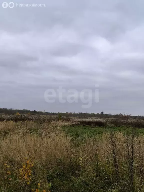 Участок в Калининградская область, Зеленоградский муниципальный округ, ... - Фото 2