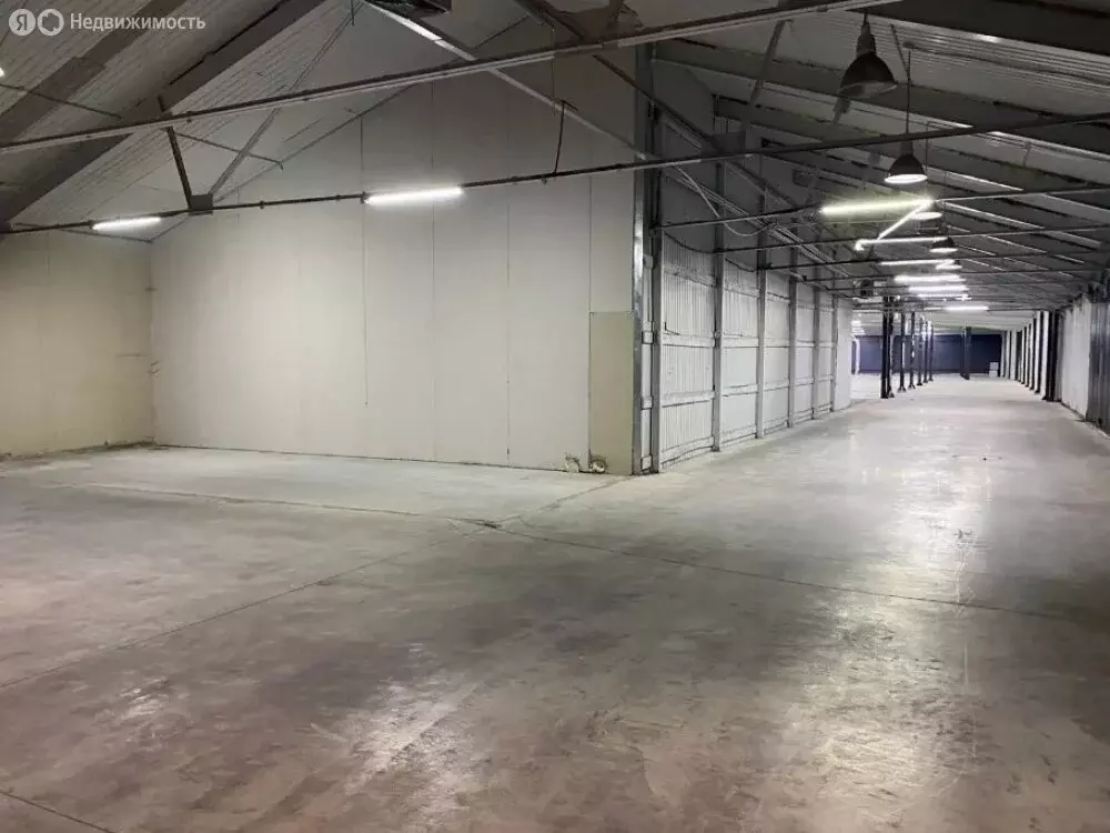 Офис (2000 м) - Фото 1