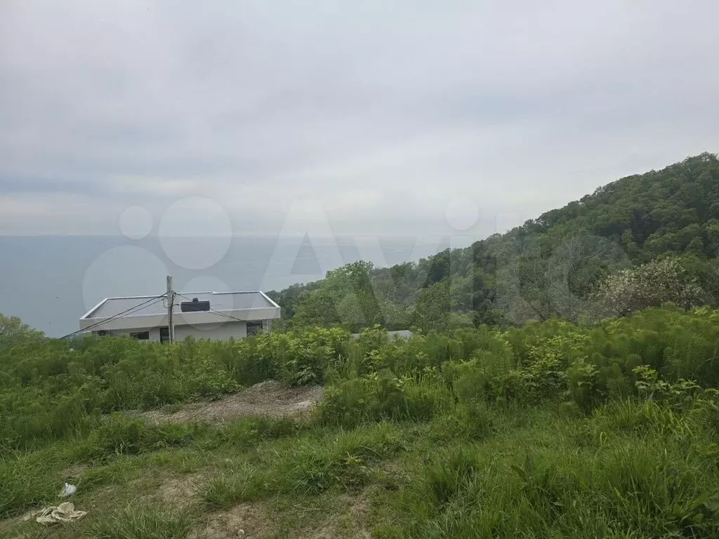 Участок 8,5 сот. (СНТ, ДНП) - Фото 1