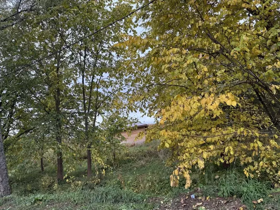 Участок в Новгородская область, Валдай Советский просп., 26 (12.0 ... - Фото 1