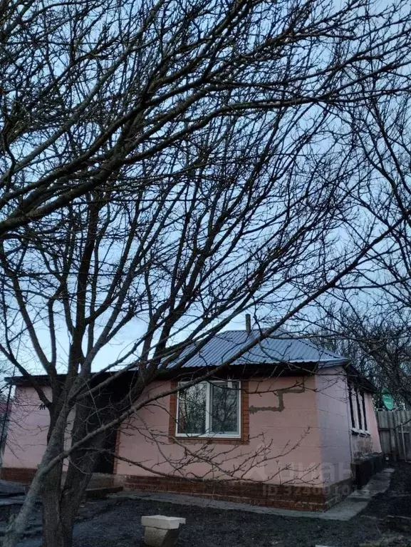 Дом в Белгородская область, Валуйский муниципальный округ, с. Казинка ... - Фото 1