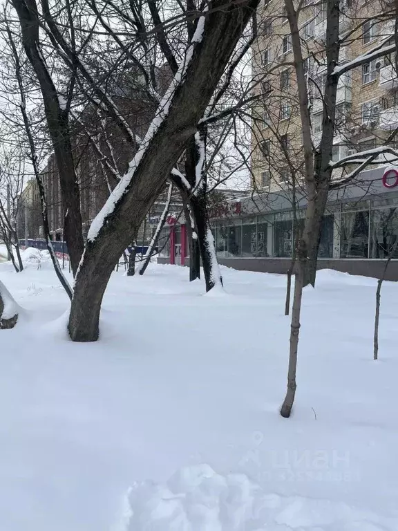 Торговая площадь в Москва просп. Мира, 131К1 (300 м) - Фото 1