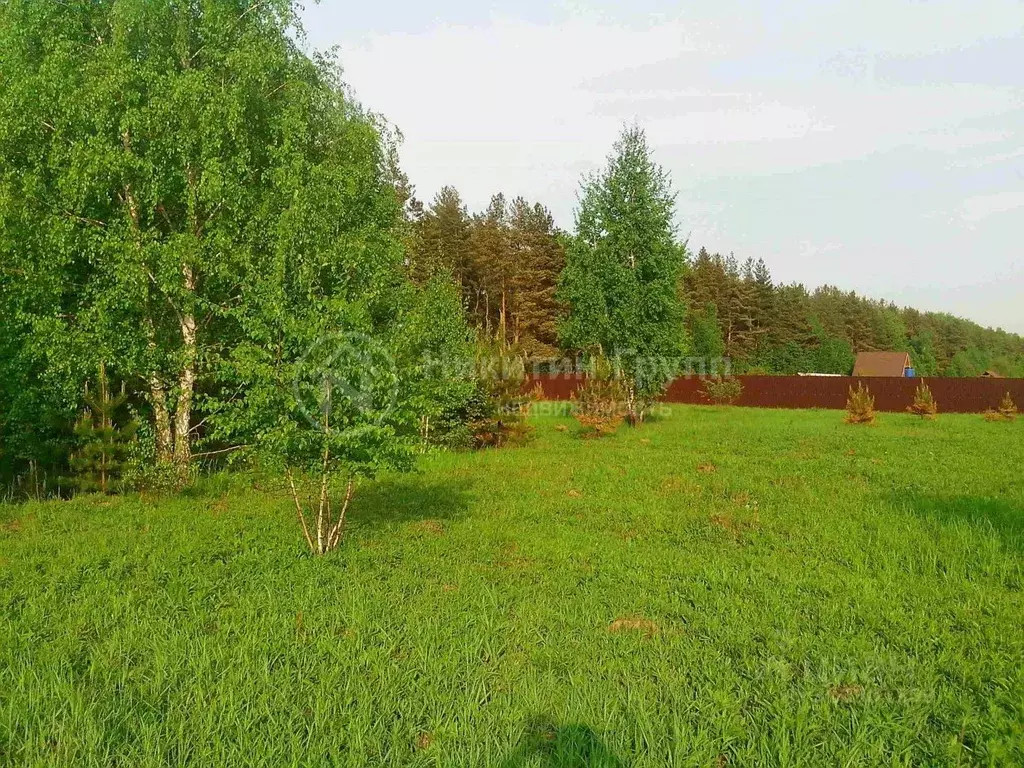 Участок в Нижегородская область, Богородский муниципальный округ, д. ... - Фото 0
