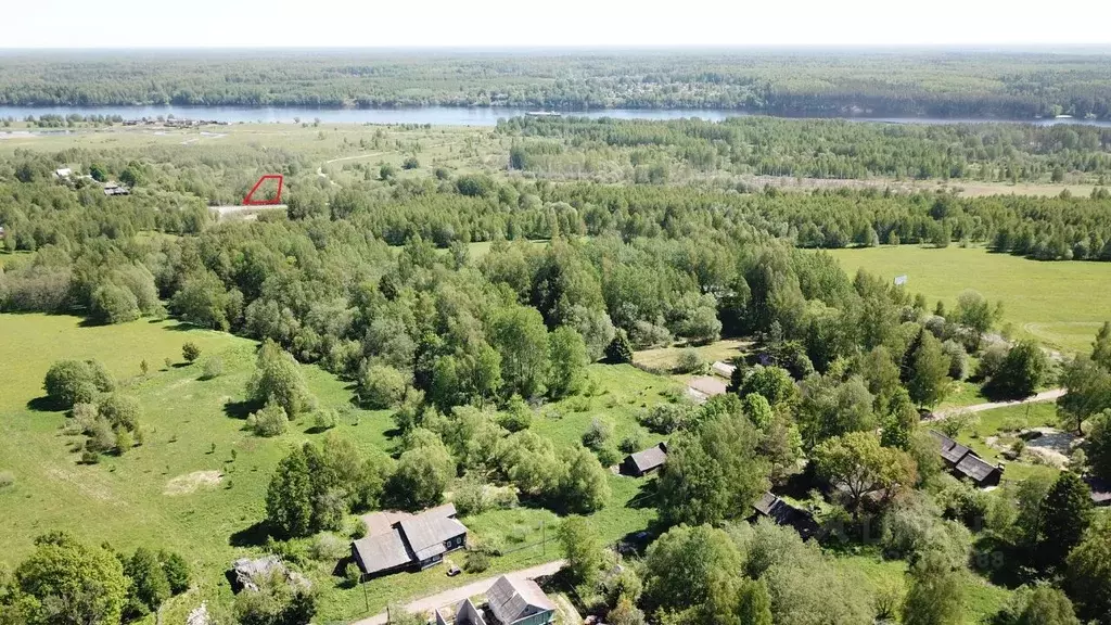 Участок в Ярославская область, Угличский муниципальный округ, д. ... - Фото 1