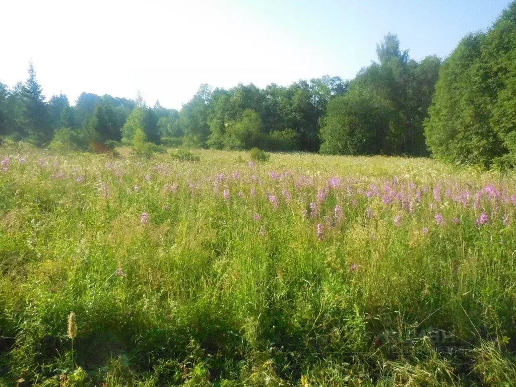 Участок в Вологодская область, Сокол  (11.0 сот.) - Фото 0