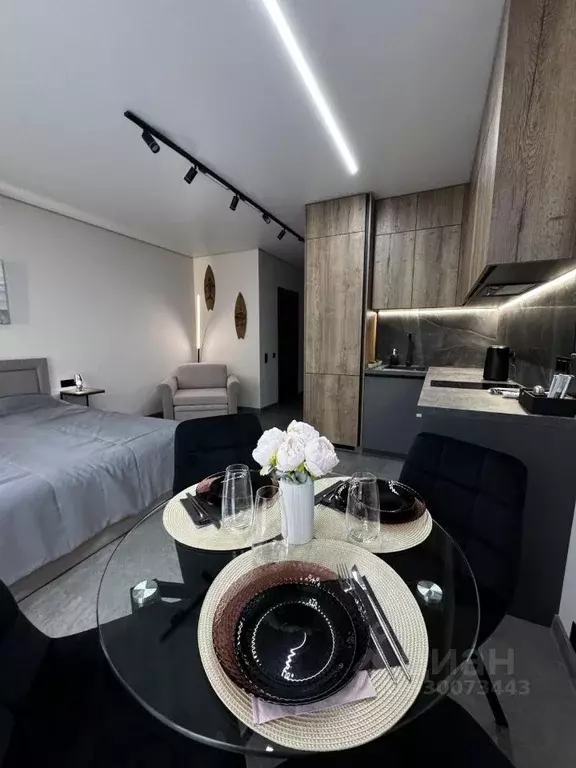 Студия Краснодарский край, Сочи Курортный просп., 96Гк1 (29.1 м) - Фото 1