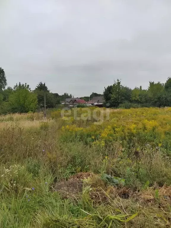 Участок в Тульская область, Богородицк ул. Ленина (12.0 сот.) - Фото 1