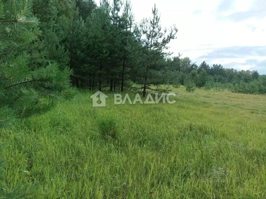 Участок в Владимирская область, Судогодский район, Лавровское ... - Фото 0