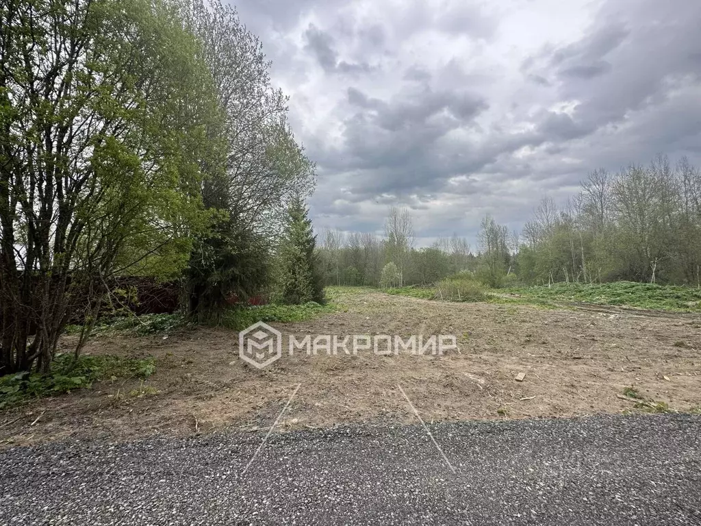 Участок в Ленинградская область, Выборгский район, Первомайское с/пос, ... - Фото 2