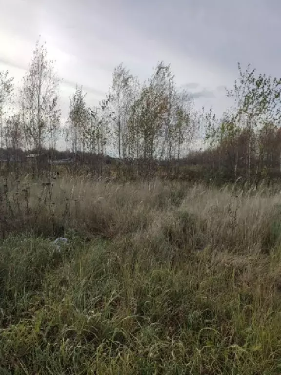 Продается участок в д. Зверково - Фото 1