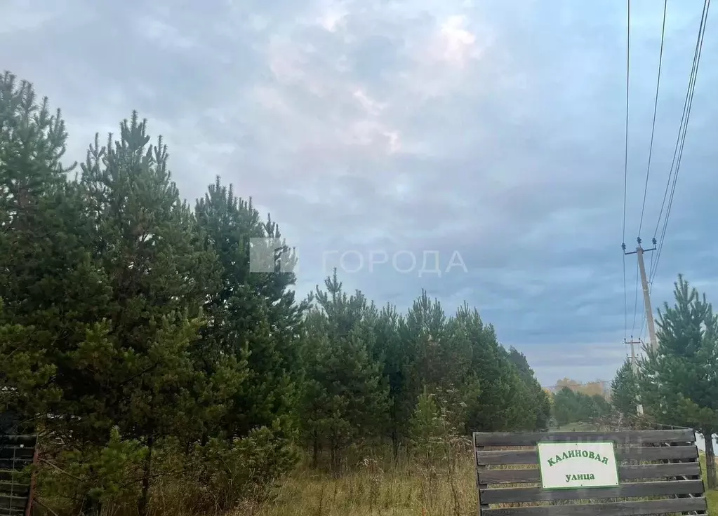 Участок в Новосибирская область, Новосибирский район, Кубовинский ... - Фото 2