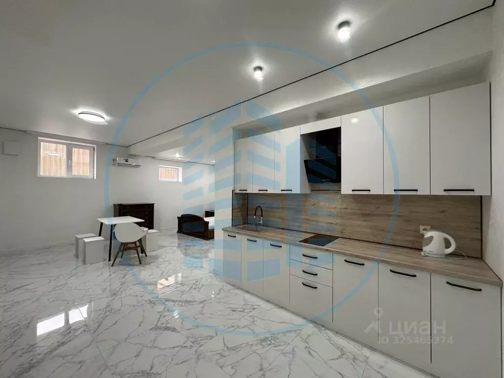 Студия Ставропольский край, Ессентуки ул. Пушкина, 10Б (40.1 м) - Фото 1