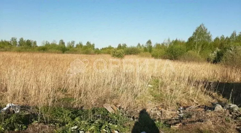 Участок в Тюменская область, Тюмень Поле Чудес-2 садовое товарищество, ... - Фото 1