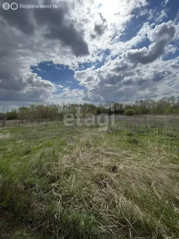 Участок в Новоусманский район, село Бабяково (23 м) - Фото 0