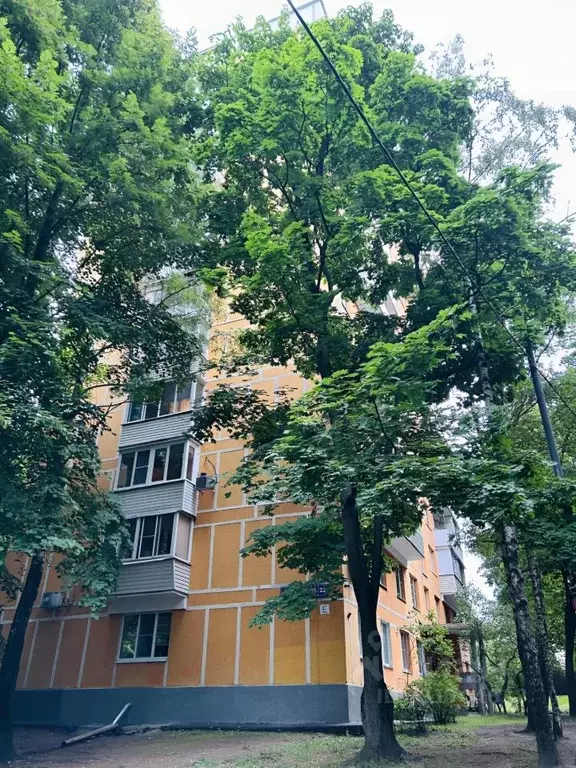 Студия Москва пос. Внуково, ул. Рассказовская, 22 (12.5 м) - Фото 1