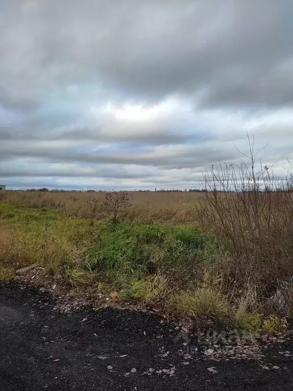 Участок в Новгородская область, Новгородский район, Трубичинское ... - Фото 1