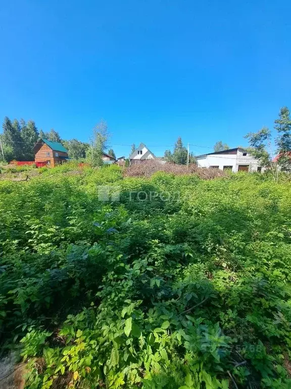 Участок в Новосибирская область, Новосибирск ул. Состязания (8.0 сот.) - Фото 1