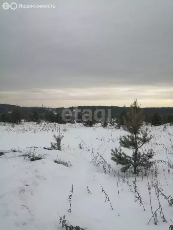 Участок в Алапаевск, Рубиновая улица (10.9 м) - Фото 1