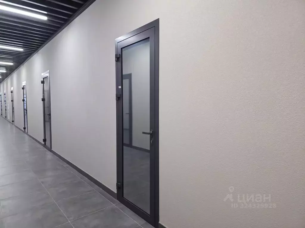 Офис в Алтайский край, Барнаул тракт Павловский, 174А (36 м) - Фото 2