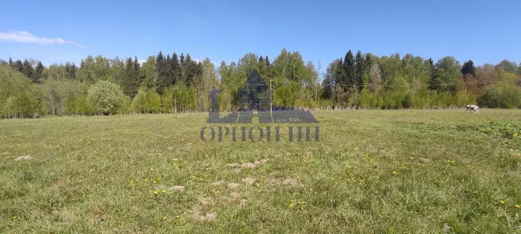 Участок в Нижегородская область, Чкаловск муниципальный округ, с. ... - Фото 2