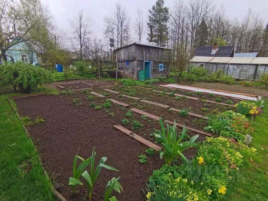 Дом в Пермский край, Березники № 26 СНТ, 60 (22 м) - Фото 2