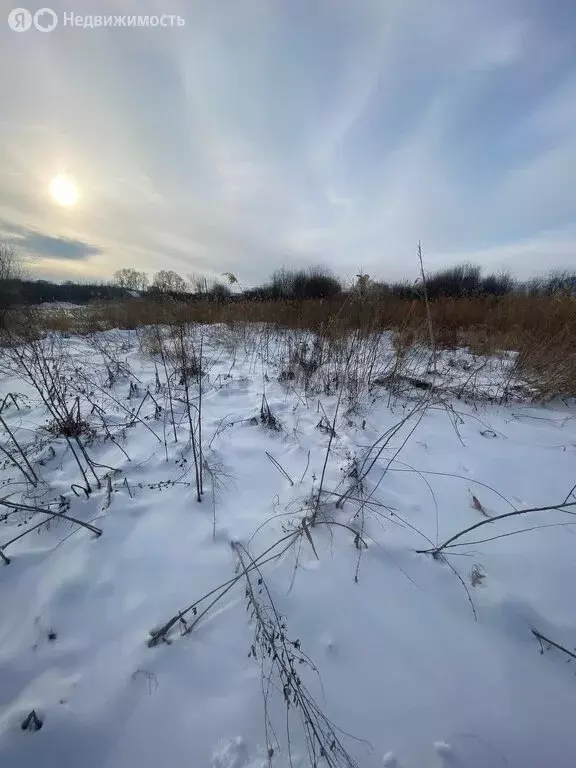 Участок в Хабаровск, Фермерская улица (7.8 м) - Фото 1