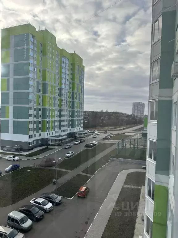 1-к кв. Орловская область, Орел ул. Кузнецова, 30к3 (36.7 м) - Фото 2