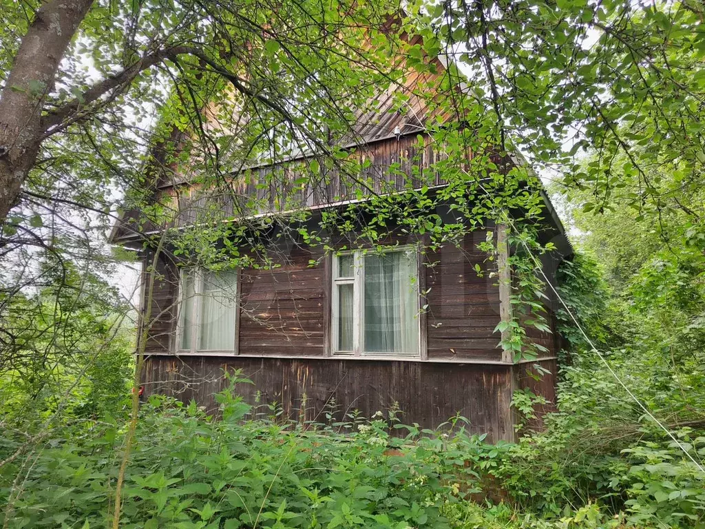 Дом 56 м на участке 6,5 сот. - Фото 0