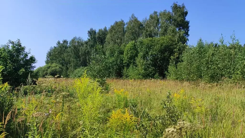 Участок в Калужская область, Мещовский муниципальный округ, д. ... - Фото 1