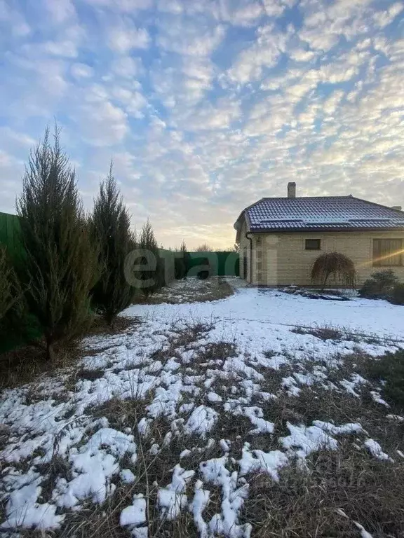 Участок в Ростовская область, Неклиновский район, с. Николаевка ... - Фото 1