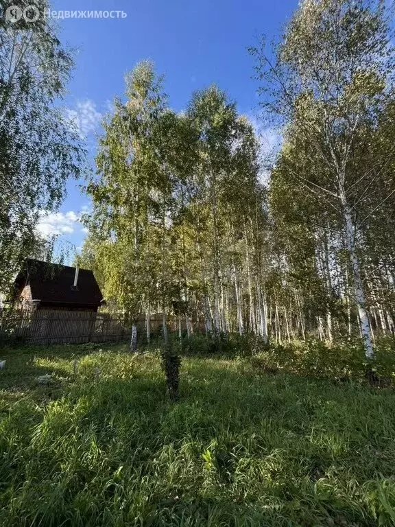 Участок в Тюменская область, Нижнетавдинский муниципальный округ, ТСН ... - Фото 2
