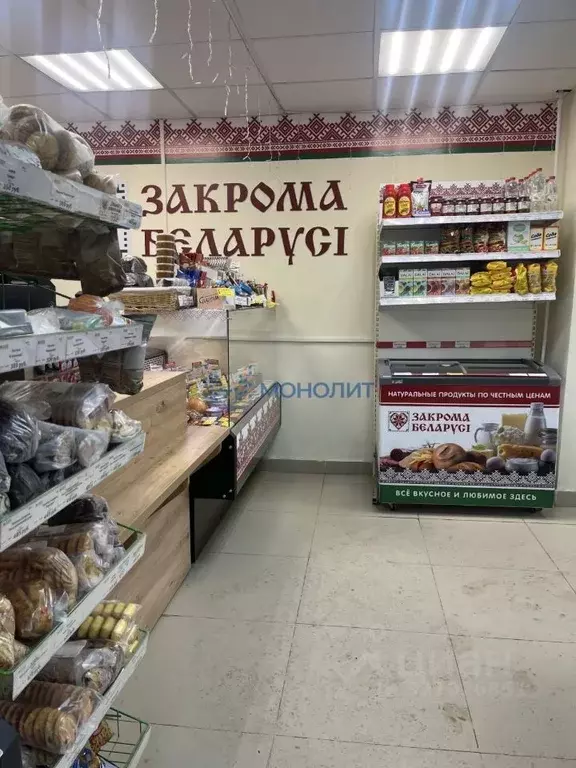 Торговая площадь в Нижегородская область, Нижний Новгород ул. ... - Фото 1