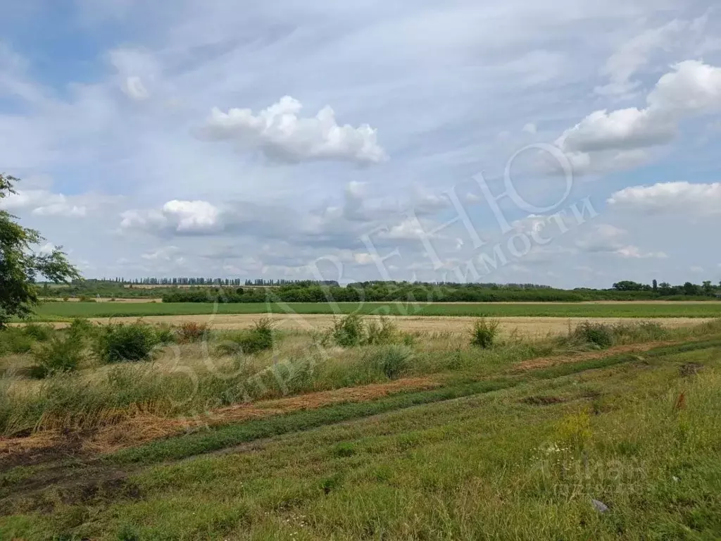 Купить Дом Рогачевка Новоусманский Район