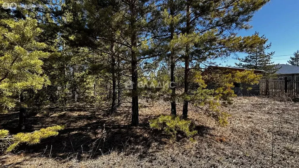 Участок в Улан-Удэ, Кадалинская улица, 17 (8 м) - Фото 2