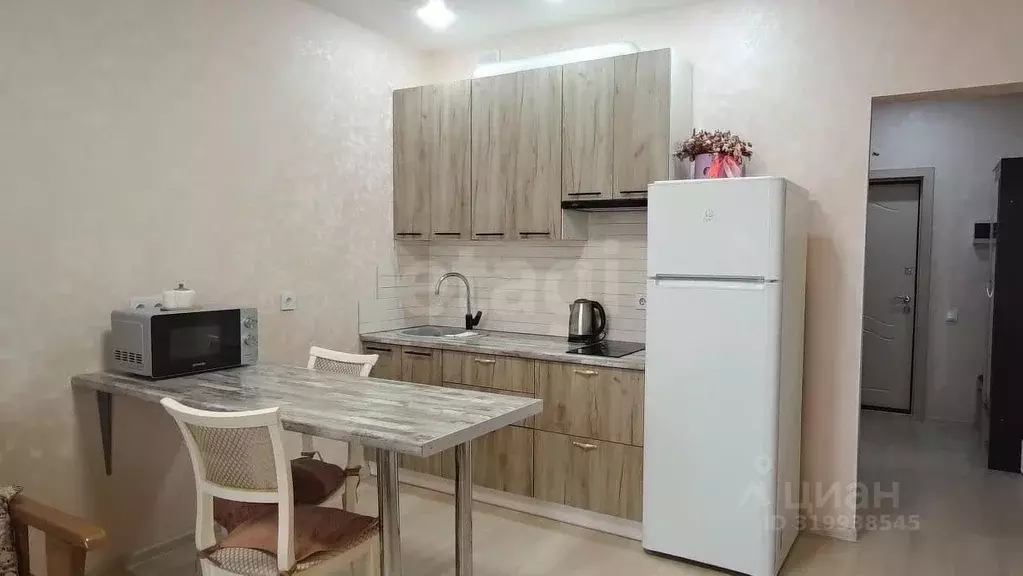 Студия Краснодарский край, Анапа ул. Толстого, 130к2 (24.5 м) - Фото 1