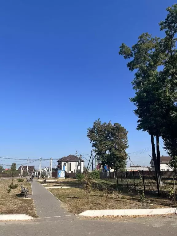 Дом в Воронежская область, Новоусманский район, с. Бабяково Садовая ... - Фото 0