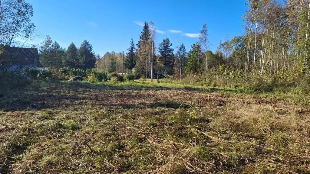 Участок в Новгородская область, Маловишерское городское поселение, д. ... - Фото 2