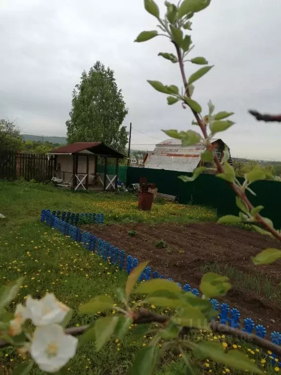 Дом в Красноярский край, Красноярск ул. 2-я Ботаническая, 11/355 (87 ... - Фото 2