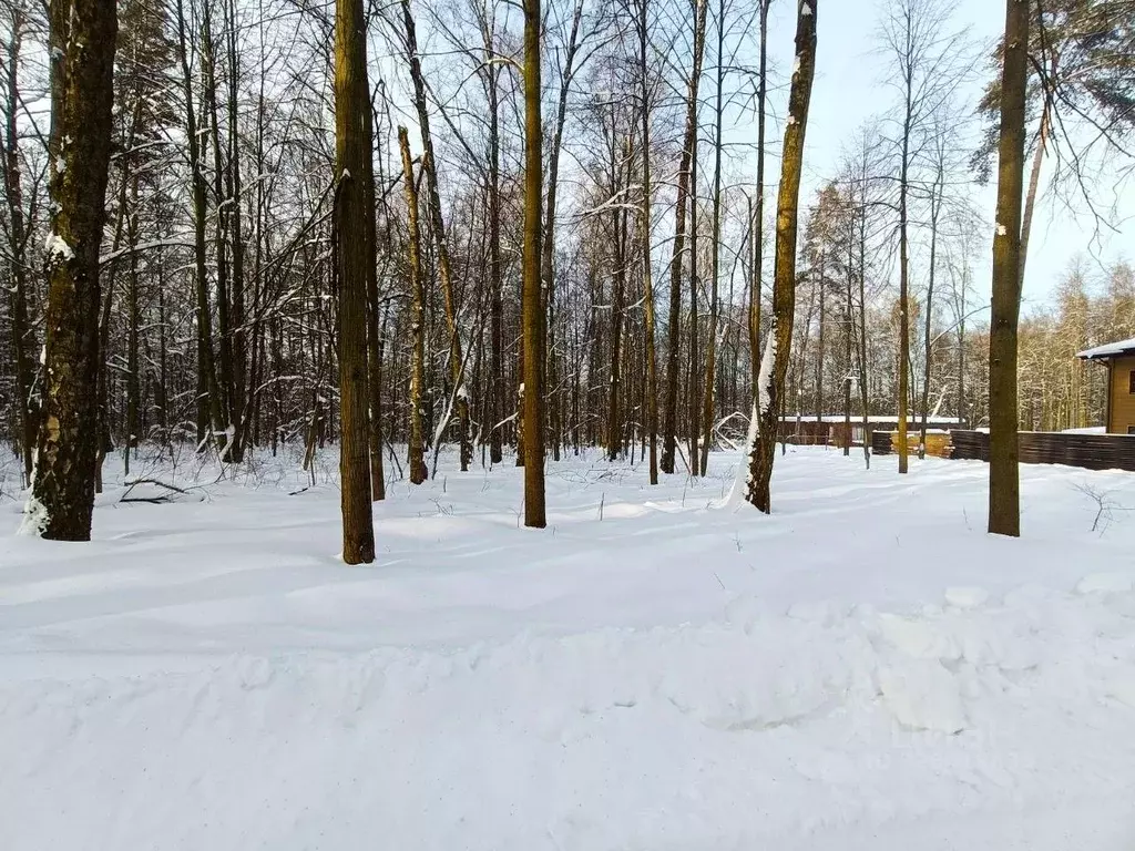 Участок в Московская область, Ленинский городской округ, д. Спасские ... - Фото 1