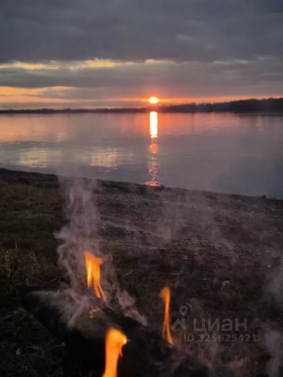Участок в Новосибирская область, Новосибирский район, Кубовинский ... - Фото 1