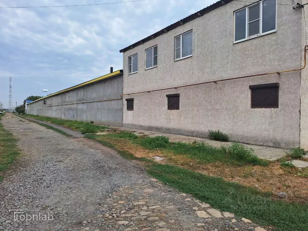 Производственное помещение в Ростовская область, Азовский район, ... - Фото 2